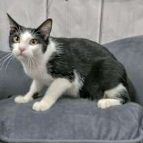 Thumbnail photo of Butterfinger #4