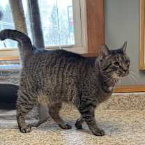 Thumbnail photo of 0121-18 Nyla #4