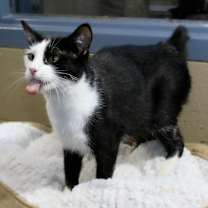 Thumbnail photo of Lucy #2