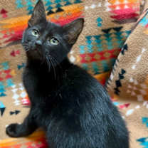 Thumbnail photo of Stephen King #3