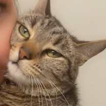 Thumbnail photo of Ari #1