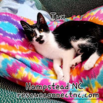 Thumbnail photo of TUX #1