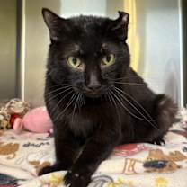 Thumbnail photo of Marina #1