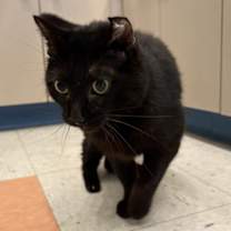 Thumbnail photo of Marina #2