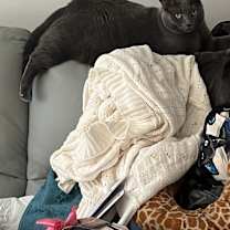 Thumbnail photo of Ryoko #2