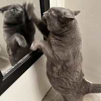 Thumbnail photo of Ryoko #3