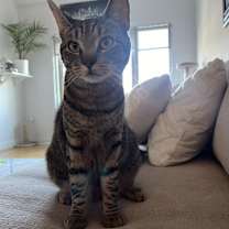 Thumbnail photo of Junior #1