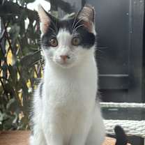 Thumbnail photo of Blake #2