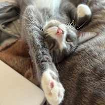 Thumbnail photo of Barry #4