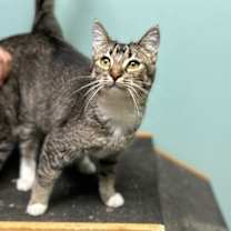 Thumbnail photo of Victoria #1