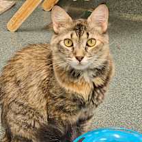 Thumbnail photo of Nanami #3