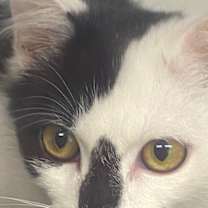 Thumbnail photo of Quincy #2