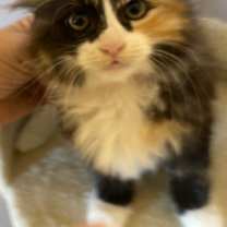 Thumbnail photo of Peekaboo #1