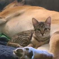 Thumbnail photo of Oatmeal #2