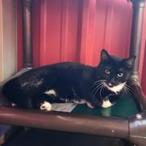 Thumbnail photo of Carly Cash #2