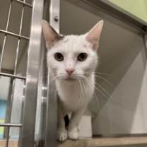 Thumbnail photo of Mara #1