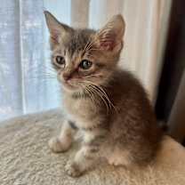 Thumbnail photo of Truly #1