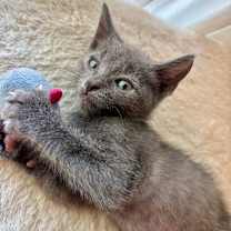 Thumbnail photo of Deeply #1