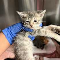 Thumbnail photo of Truly #2