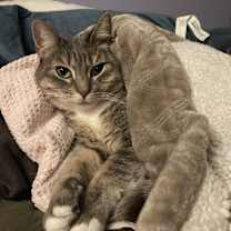 Thumbnail photo of Jolie #4