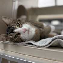 Thumbnail photo of Bicycle #1