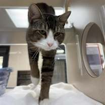 Thumbnail photo of Bicycle #2