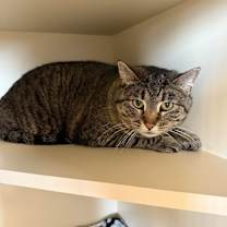 Thumbnail photo of Sam #2