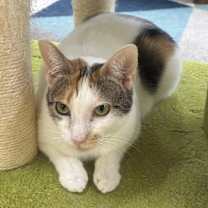 Thumbnail photo of Blanca #4