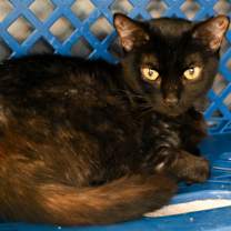 Thumbnail photo of Zuzu #2