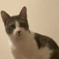 Thumbnail photo of Wyatt and Doc #2