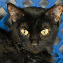 Thumbnail photo of Zuzu #1