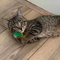 Thumbnail photo of Serenity #1