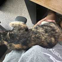 Thumbnail photo of Seven Jones #3