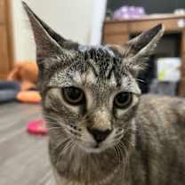 Thumbnail photo of Mama #2