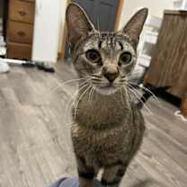 Thumbnail photo of Mama #3