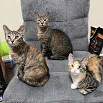 Thumbnail photo of Mama #4