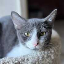 Thumbnail photo of Moe #1