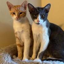 Thumbnail photo of Moe #2