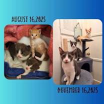 Thumbnail photo of Moe #3