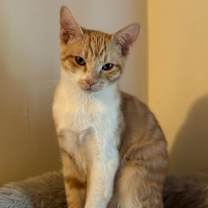 Thumbnail photo of Jack #1