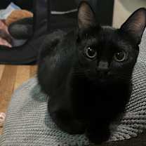 Thumbnail photo of Tate #2