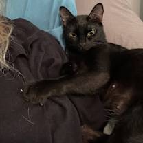 Thumbnail photo of Tate #3