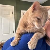 Thumbnail photo of Gru #2