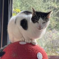 Thumbnail photo of Gabby #2