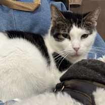 Thumbnail photo of Gabby #4