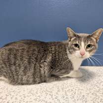 Thumbnail photo of Leah #3