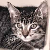 Thumbnail photo of Vera #1