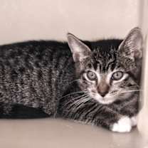 Thumbnail photo of Vera #2