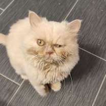 Thumbnail photo of Squish #3