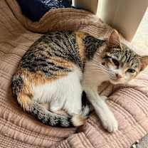 Thumbnail photo of spot #2